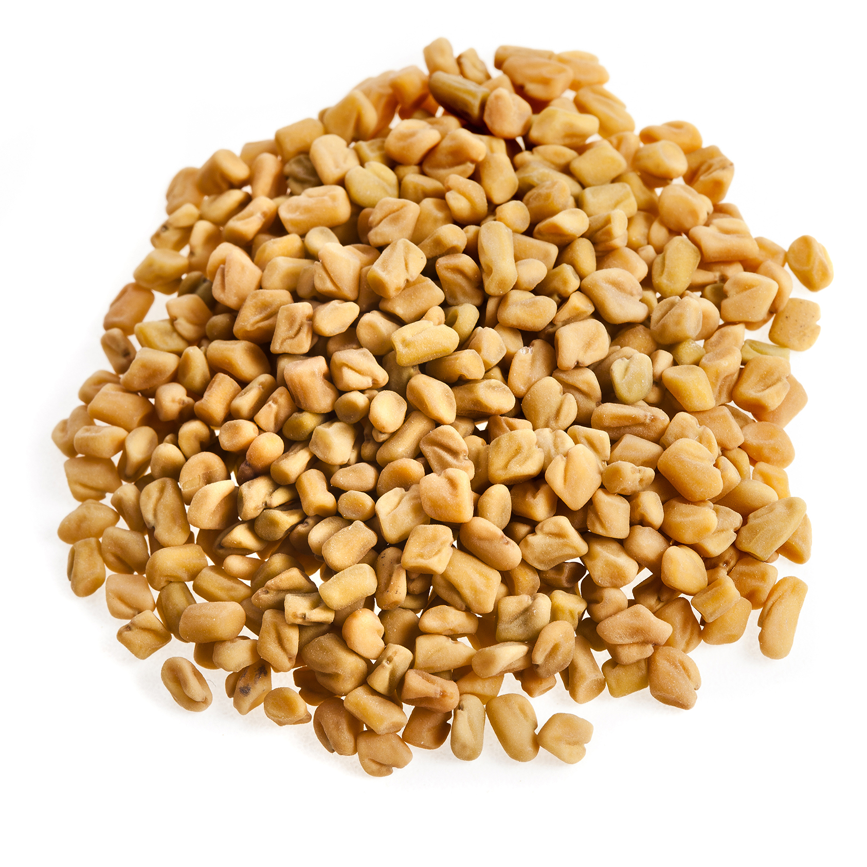 Fenugreek