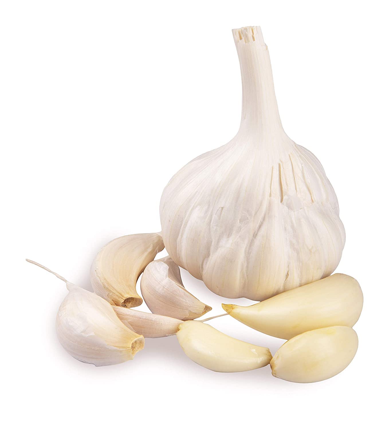 Garlic Extract