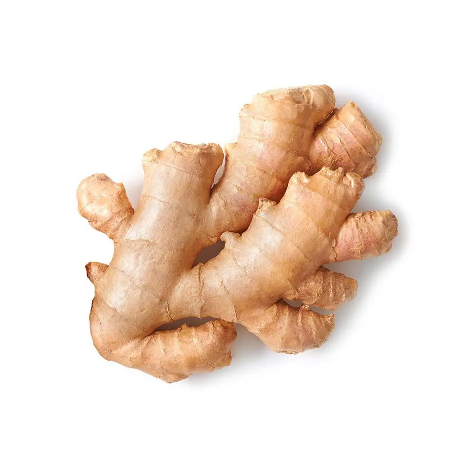 Ginger Root